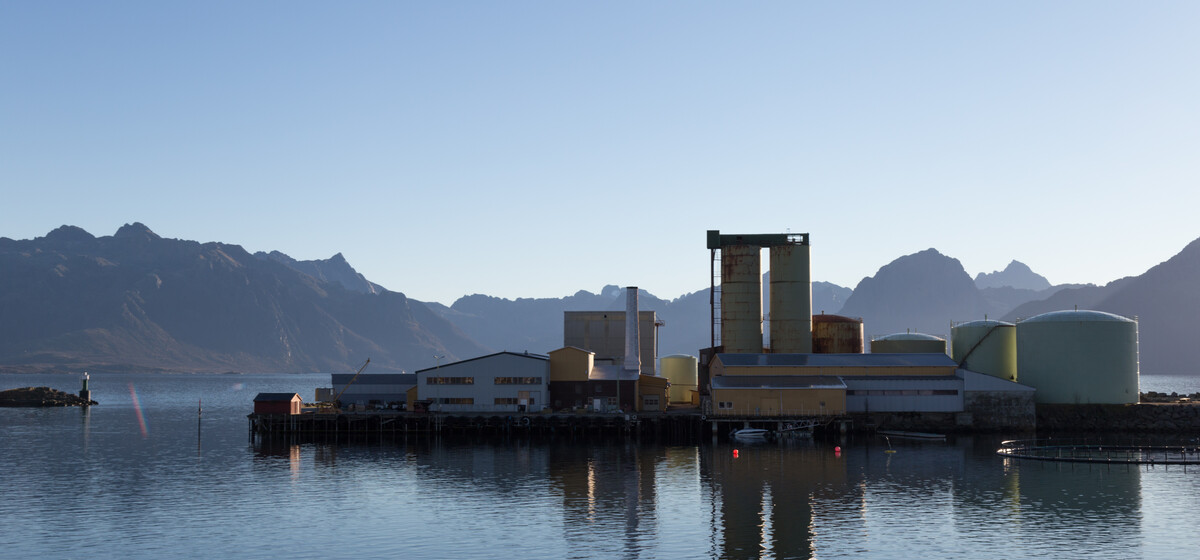 Your Alternative text